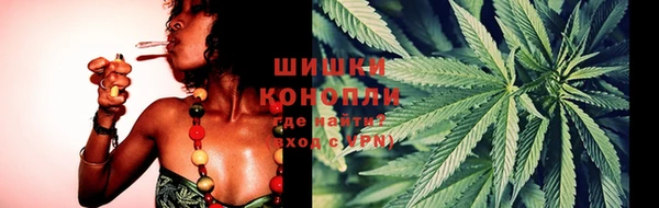сатива Волоколамск