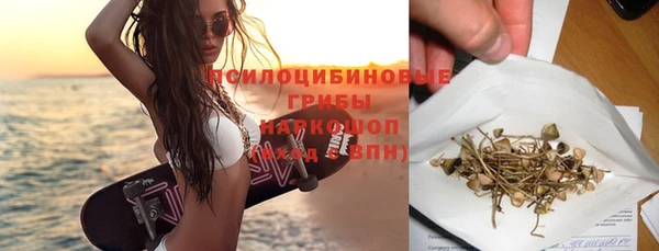 сатива Волоколамск