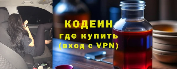 сатива Волоколамск