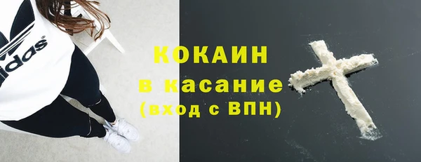 сатива Волоколамск