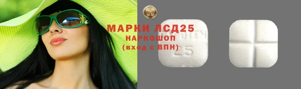 сатива Волоколамск