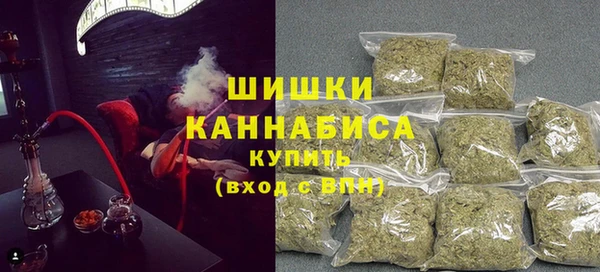 сатива Волоколамск