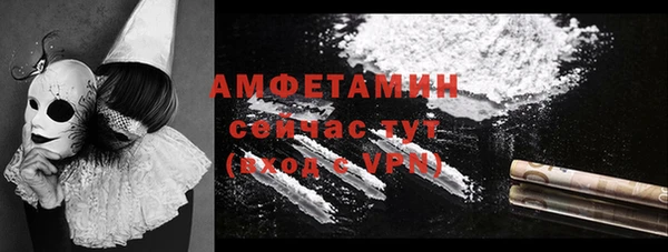 сатива Волоколамск