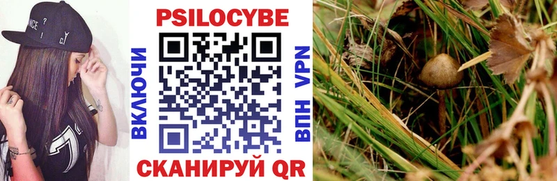 Галлюциногенные грибы ЛСД  Купить где  Кулебаки 